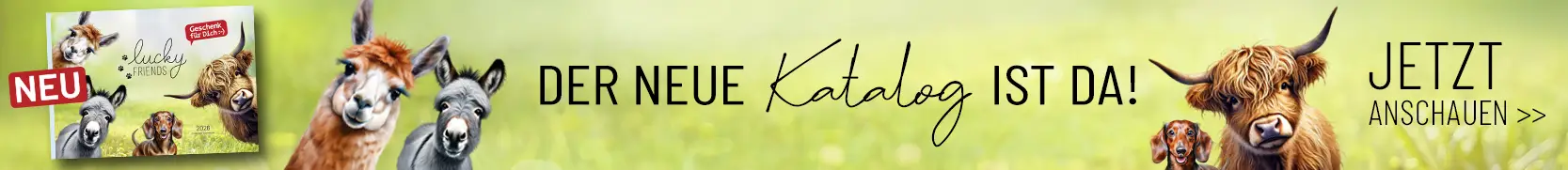 Teaser neuer Katalog FS26