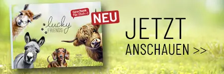 Teaser mobil neuer Katalog FS26